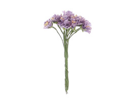 Cornflower