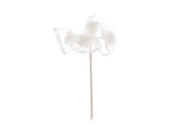 Rose in Voile-Glocken wei 