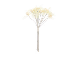 Rose 3 Voile-Blatter ekru