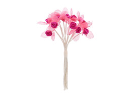 Rose 3 Voile-Blatter fuchsia