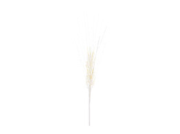 Epi de ble blanc