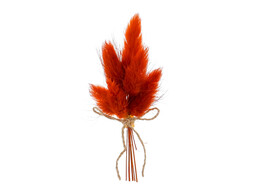 Trockenblumenstrau  10cm mit Klebestreifen dunkelorange