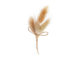 Trockenblumenstrau  10cm ecru mit Klebestreifen