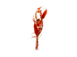 Trockenblumenstrau  15cm mit Klebestreifen dunkelorange