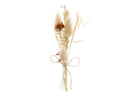 Trockenblumenstrau  15cm ecru mit Klebestreifen