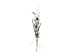 Trockenblumenstrau  30cm blau