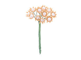 Blume  Smile  beige