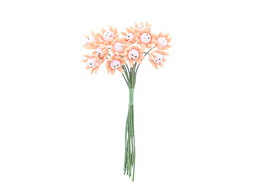 Flower  Smile  passion