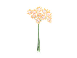  br/ Blume  Smiley  pfirsichfarben