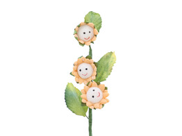  Smile  3 flowers passion