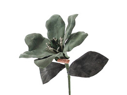 OTL Bloem 4868 grote bloem donkergroen