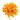 Dahlia PM jaune fonce