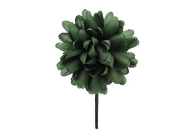 Dahlia PM