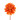 Dahlia PM orange