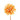 Dahlia PM passion