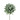 Dahlia PM smokey green