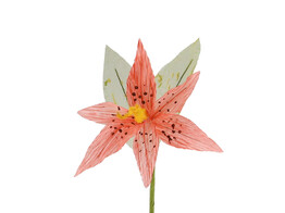 Lily 1 flower dark pink