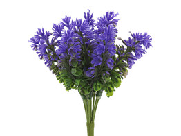 Heather purple