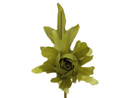 Camelia avec feuille PM