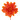 Camelia LM dark orange