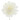 Camelia LM cream