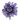 Camelia LM lavender