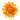 Camelia LM light orange