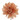 Camelia LM nude