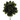 Camelia LM olive green