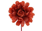 Camelia LM rust