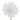 Camelia LM white