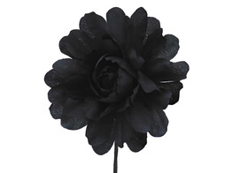 Camelia GM