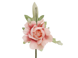 Camelia avec feuille PM
