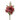 Camelia with green leaf SM old pink