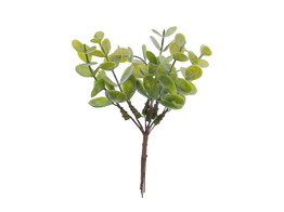 Eucalyptus branch 13cm