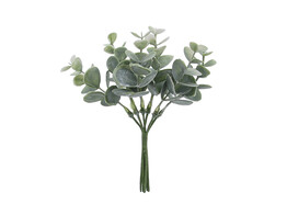 Eukalyptuszweig 16 cm