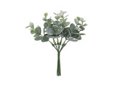 Eucalyptus branch 16cm