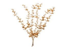 Eucalyptus branch hanging 37cm gold