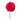  Dianthus  anjer fuchsia