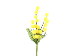 Mimosa/3 leaves/3 springs