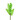 Mimosa groen
