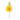  Margaretha  daisy 1 flower yellow