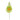  Margaretha  daisy 1 flower green
