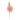  Margaretha  daisy 1 flower light pink