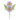  Margaretha  daisy 2 flowers lavender