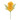  Margaretha  daisy 2 flowers passion