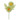  Margaretha  daisy 2 flowers smokey green