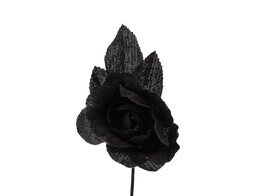 Rose noir