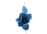 Helloborus  Summer  blue