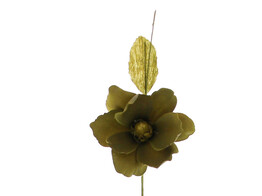 Helleborus Summer